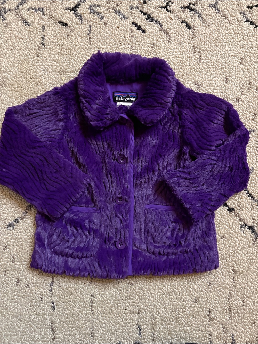 Patagonia Kids jacket (2T)